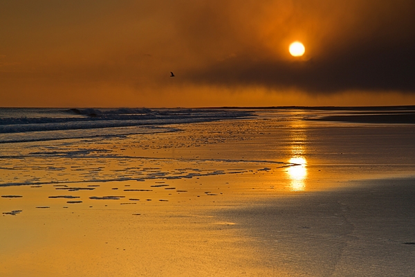 Bamburgh beach golden sunrise. Feb '18.
