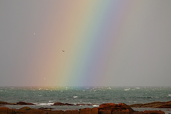 Rainbow over the sea.h. Nov. '20.