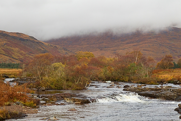 River scene. Oct. '22.