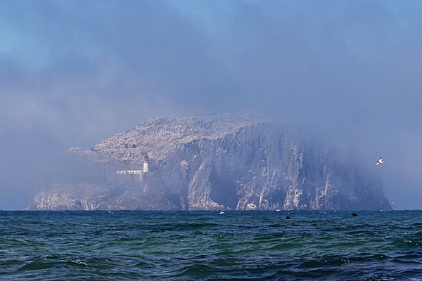 Bass Rock thru the sea haar. Apr. '23.