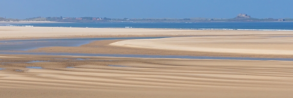 Budle Bay across to Lindisfarne. May. '23.