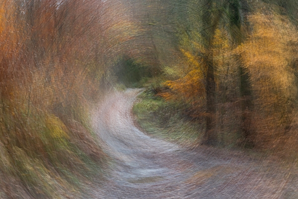 Duns Castle woods ICM 2. Nov. '23.