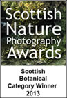 Scottish Nature Photography Awards Scottish Botanical Catagory Winner