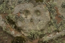 Skull and Crossbones Lichens.