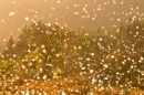 Loch Scidain landscape thru spray. Oct. '22.