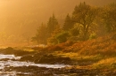 Loch Scridain landscape. Oct. '22.