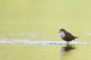 Dipper and reflections. May '18.