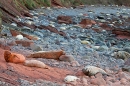 Rock dust,orange dyed Grey Seal cow seascape. Nov. '20.